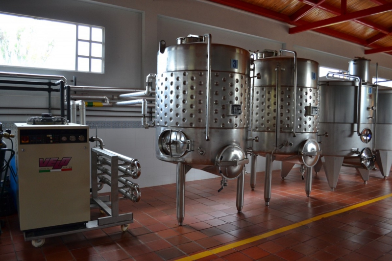 cave-BAIROLS-min_wine_production_cantine_winery_drink_alcohol_vine_beverage-902036